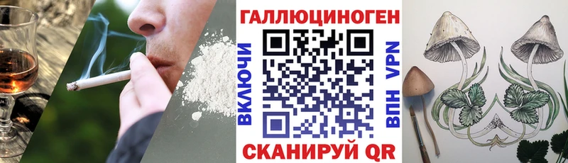 Псилоцибиновые грибы GOLDEN TEACHER  blacksprut ссылка  Осинники 